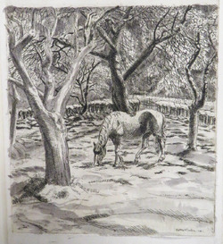 Piebald Pony in an Orchard