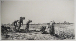 The Allotment Diggers