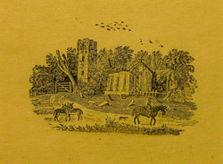 Tail piece from The History of British Birds: two donkeys and a horse before a church