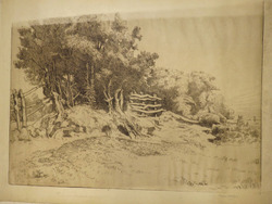Stormy Landscape
