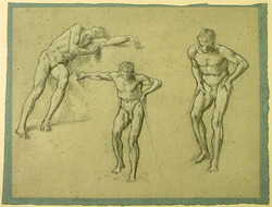 Three studies of a male nude
