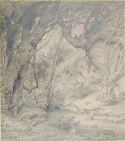 A stream in a rocky, tree-lined valley