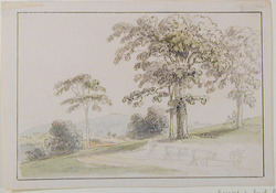 View at Wornish of St Marthas and Newland Corner