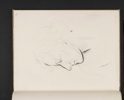 Study of a female head, in profile