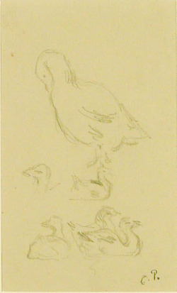 Recto: Studies of Ducks
Verso: Mother holding a Baby