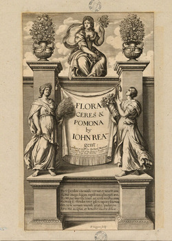 Frontispiece to John Rea's 'Flora, Seu, De Florum Cultura, or, A Complete Florilege', with alternate title on sheet, with Ceres to the left and Pomona to the right, with Flora above, flanked by two vases