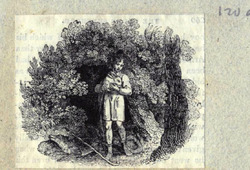 The young shepherd