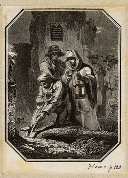 Nocturnal scene