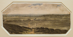 The Quarries from Shotover Hill