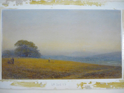 The Sussex Downs