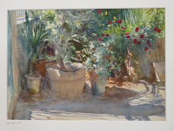 Potted Plants in a Courtyard