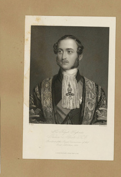 Portrait of Prince Albert