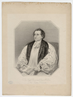Portrait of Bishop D Wilson