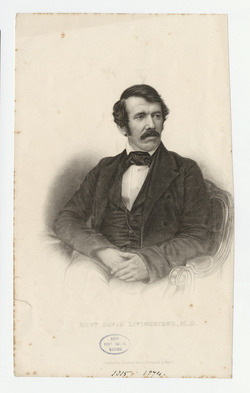 Portrait of Dr D. Livingstone