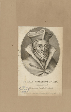 Portrait of Dr T. Stapelton