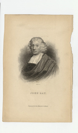 Portrait of J. Ray