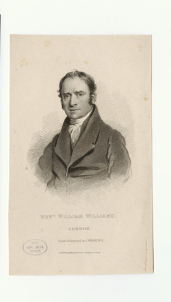 Portrait of W. Williams