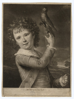 Portrait of W. Caulfield