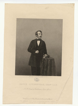 Portrait of David Livingstone