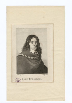 Portrait of J. Evelyn