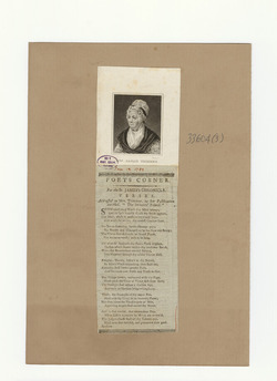Portrait of Mrs Trimmer