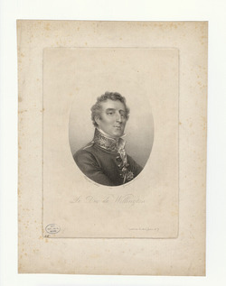 Portrait of Wellington