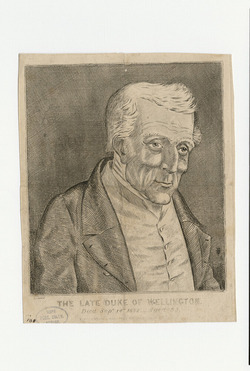 Portrait of Wellington