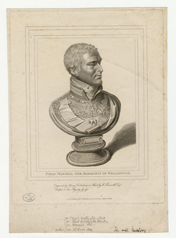 Portrait of Wellington