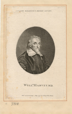 Portrait of Dr W. Harvey