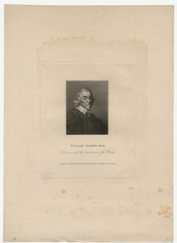 Portrait of Dr W. Harvey