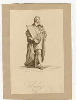 Portrait of Dr W. Harvey