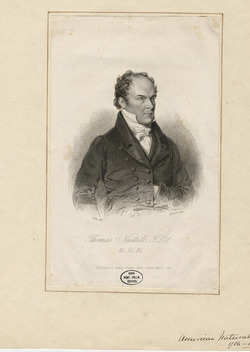 Portrait of T. Nuttall