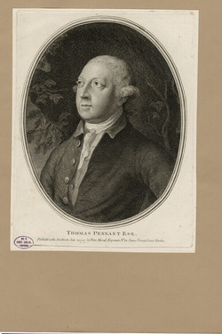 Portrait of T. Pennant