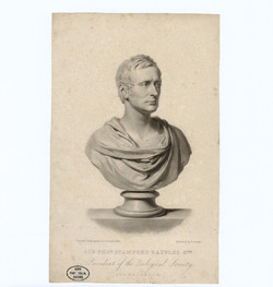 Portrait of Thomas Stamford Raffles