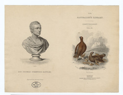 Portrait of Thomas Stamford Raffles