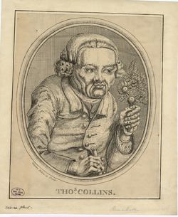 Portrait of T. Collins