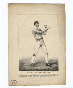 Thomas Winter, Spring (creator)