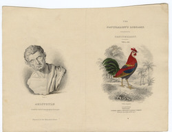 Portrait of Aristotle