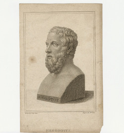 Portrait of Herodotus