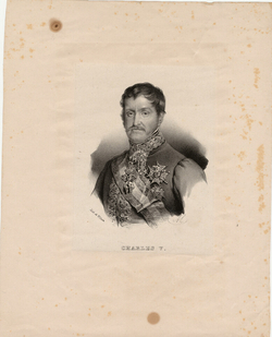 Portrait of the Infante Carlos, Count of Molina