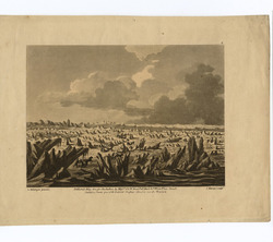 View of Arctic
