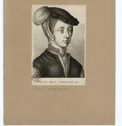 Portrait of an unidentified lady