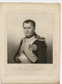 Portrait of Napoleon