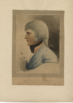 Portrait of Napoleon