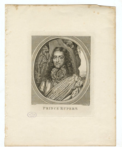 Portrait of Prince Rupert