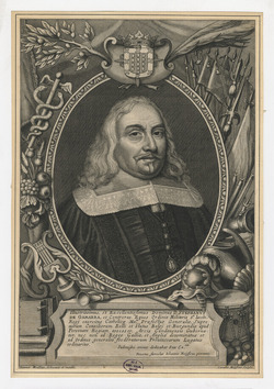 Portrait of Stephen de Gamarra