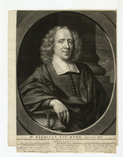Portrait of Henricus Van Born, theologian in Amsterdam