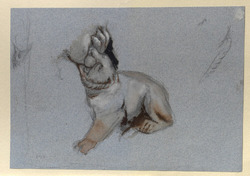 Study of a Lion Cub from Nicola Pisano's Siena Pulpit