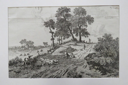 Dutch landscape