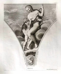 Venus